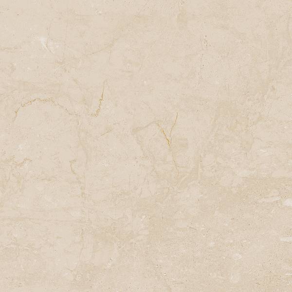 Color preview image: TORTORA