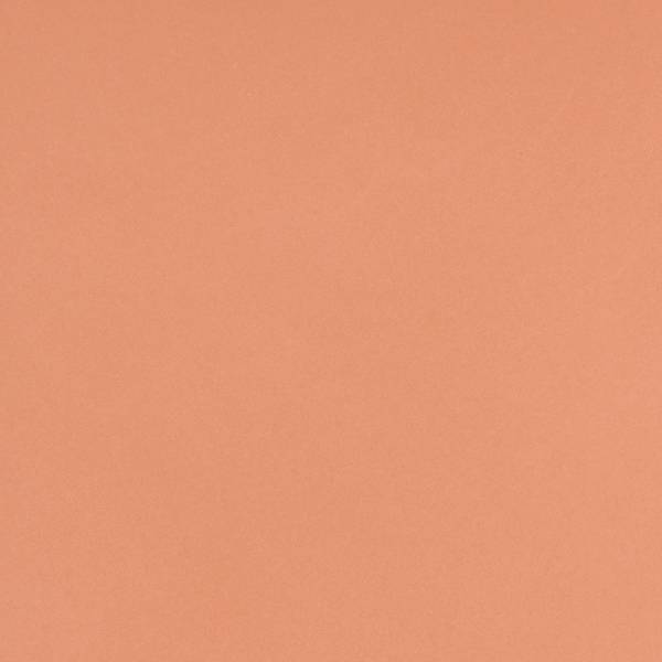 Immagine di anteprima colore: CORALLO