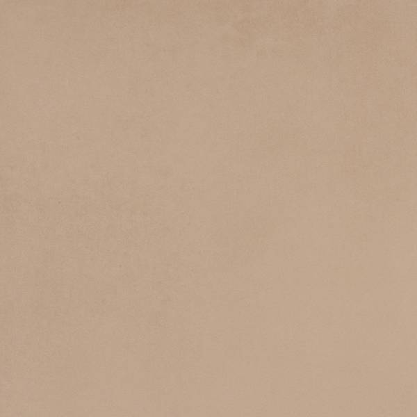 Immagine di anteprima colore: TORTORA