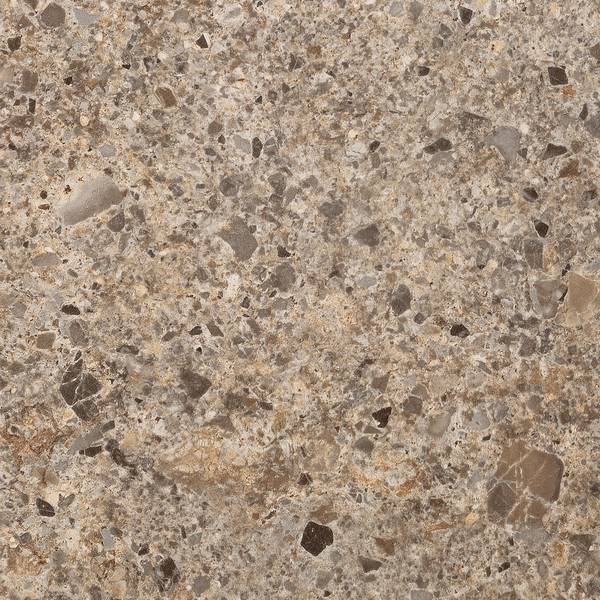 Color preview image: TORTORA