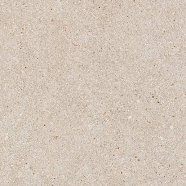 Color preview image: TORTORA