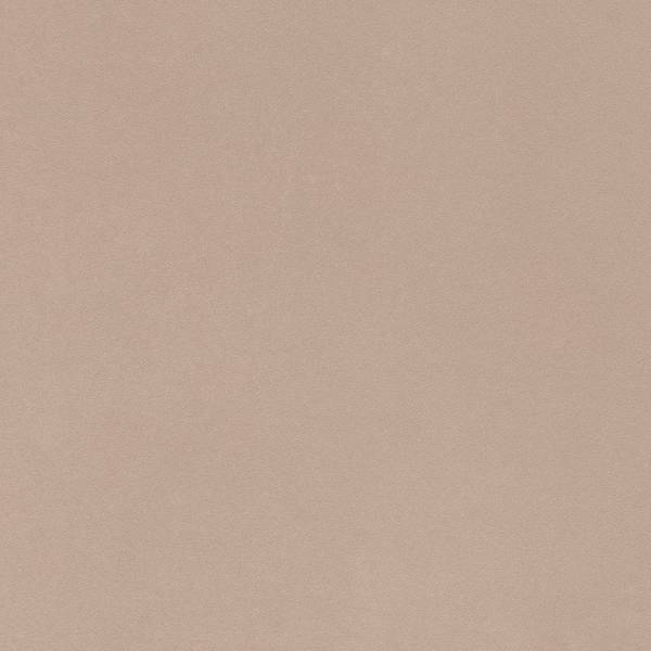 Color preview image: TORTORA BRILLANTE