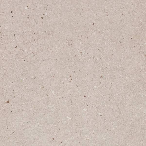 Color preview image: TORTORA