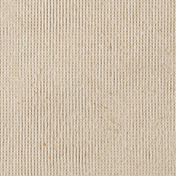 Color preview image: TRAMA BEIGE