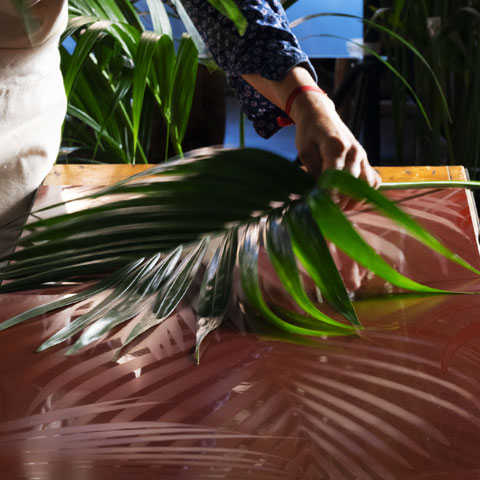 Piastrella decorata tropicale con foglie scure su fondo rosato, effetto silhouette d’impatto in stile botanico stilizzato.