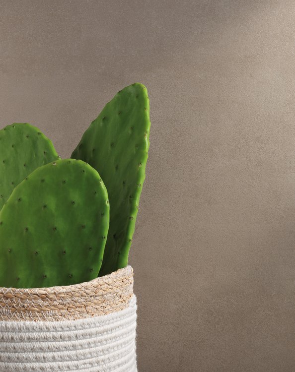 Raumabbildung , gestaltet mit Fliesen aus der Kollektion: SUMMER – BROWN